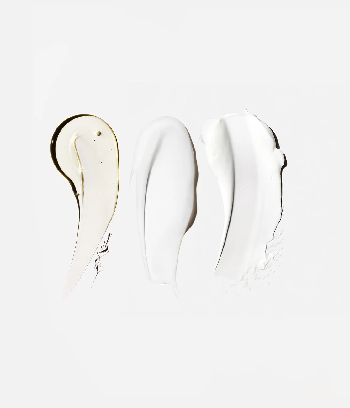 The Body Essentials - Image 9